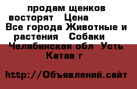 продам щенков восторят › Цена ­ 7 000 - Все города Животные и растения » Собаки   . Челябинская обл.,Усть-Катав г.